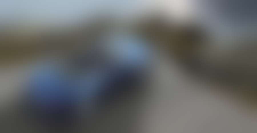 Pellentesque Hant Morbi