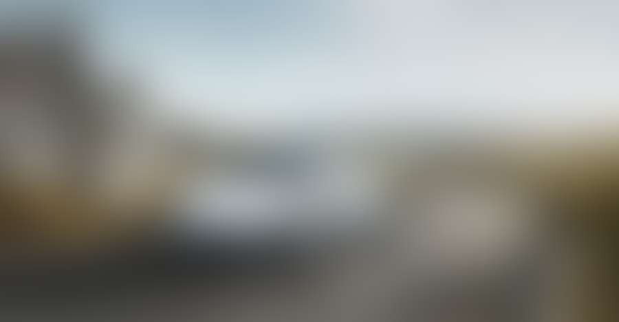 Curabitur In Tristique